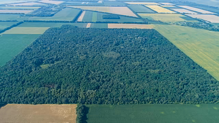 Natur der Supii-Region — Foto 1