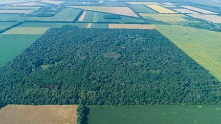Natur der Supii-Region — Foto 1