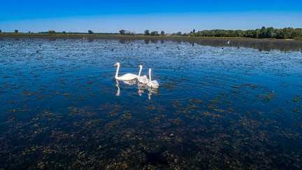 Nature de la région de la Supii — photo 2